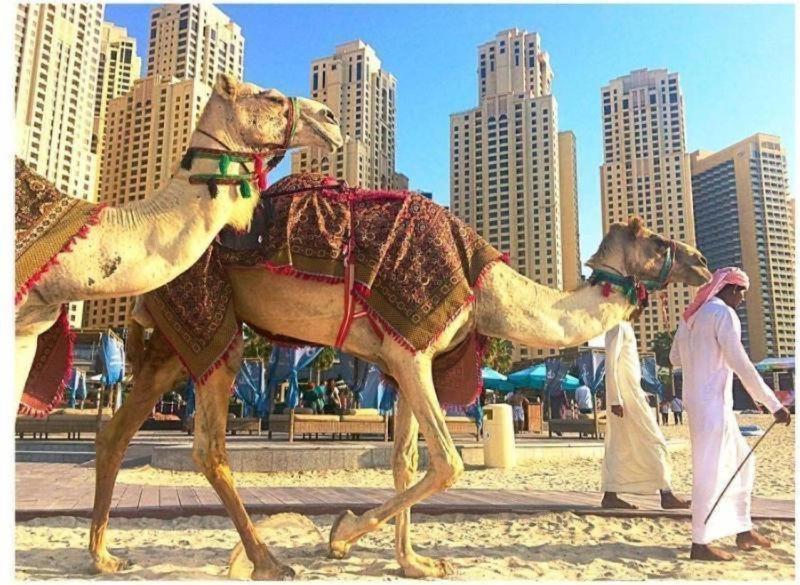 Luxury Apartments In Dubai Marina מראה חיצוני תמונה